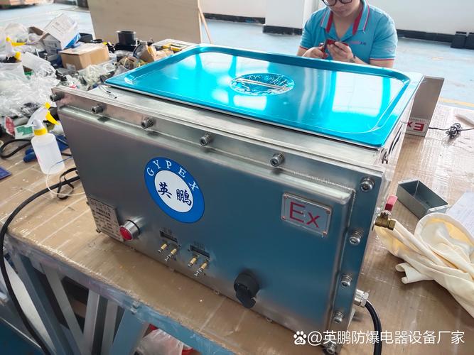 今天我要给你们安利一个我家新添的宝贝